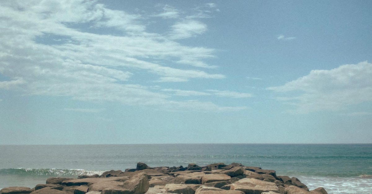 A Culinary Journey Through Gold Coast's Japanese Cuisine