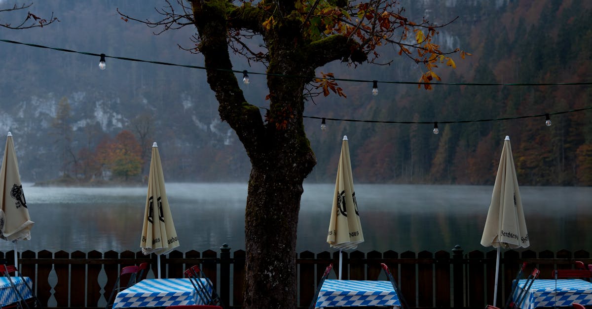 A Taste Test of Local Ingredients in Coastal Dining