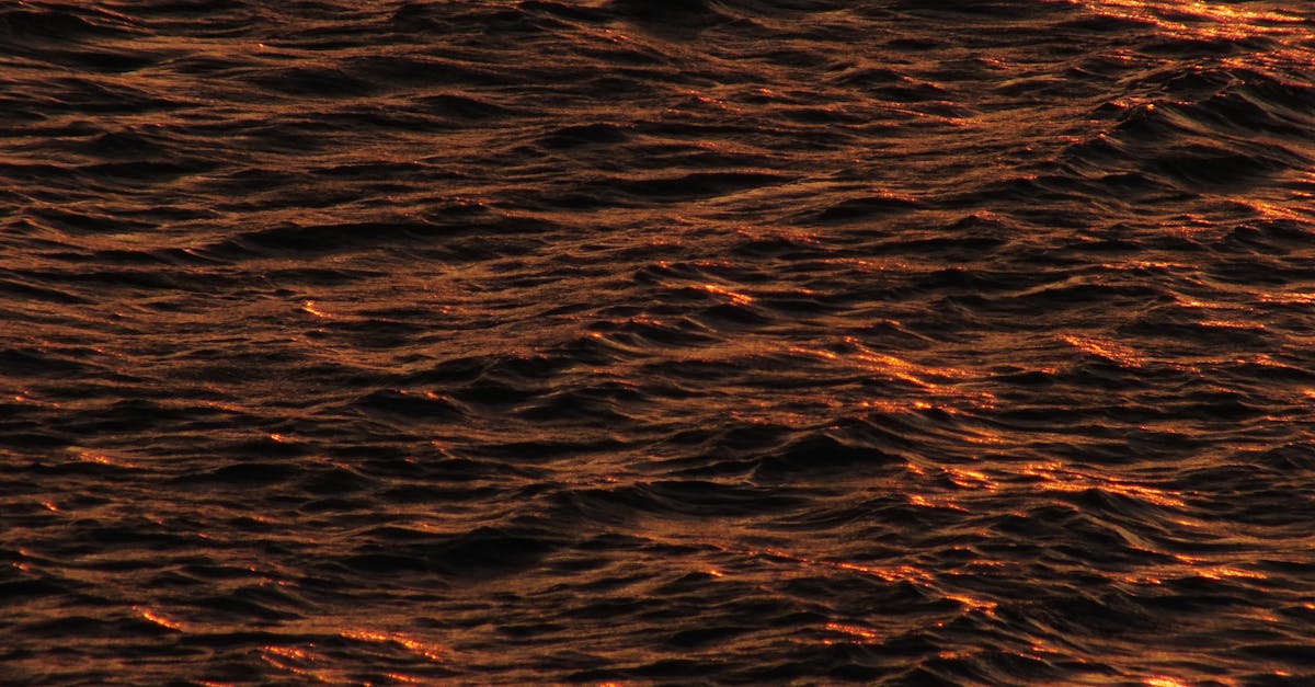 Behind the Scenes: Meet the Chefs of Gold Coast Fine Dining