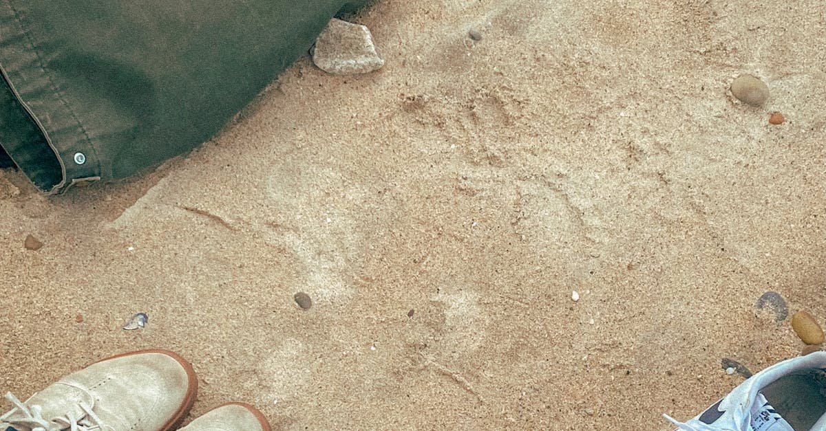 Comparing Organic Options at Gold Coast Restaurants