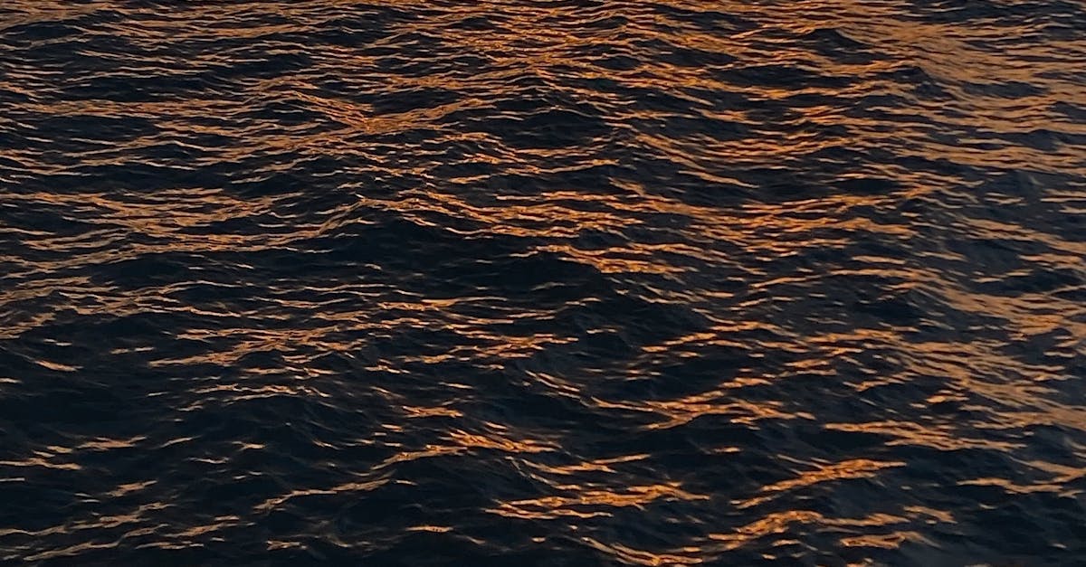 Evaluating the Flavour Profiles of Gold Coast Asian Cuisine