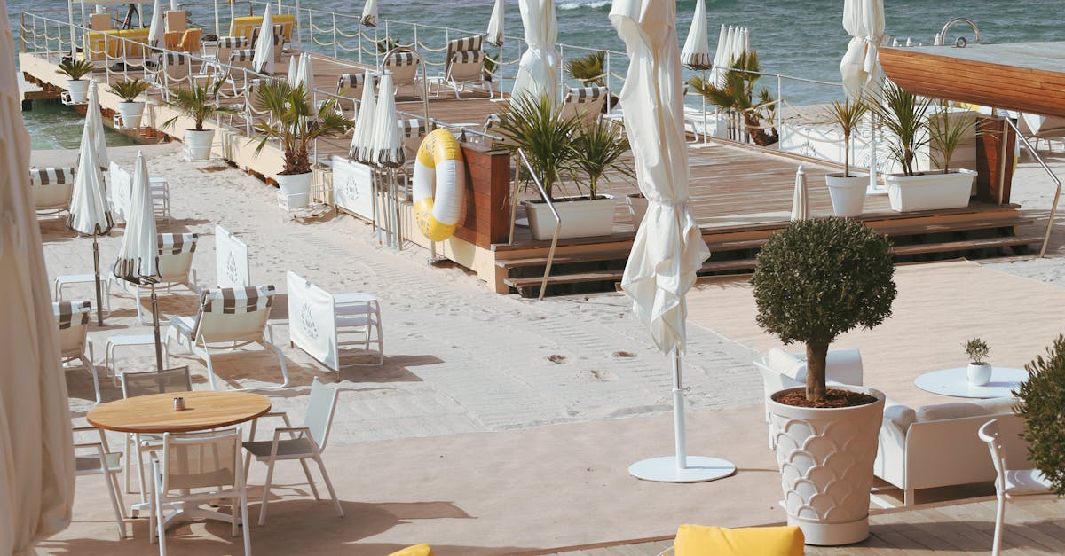 Exploring the Best Vegetarian Restaurants on the Gold Coast