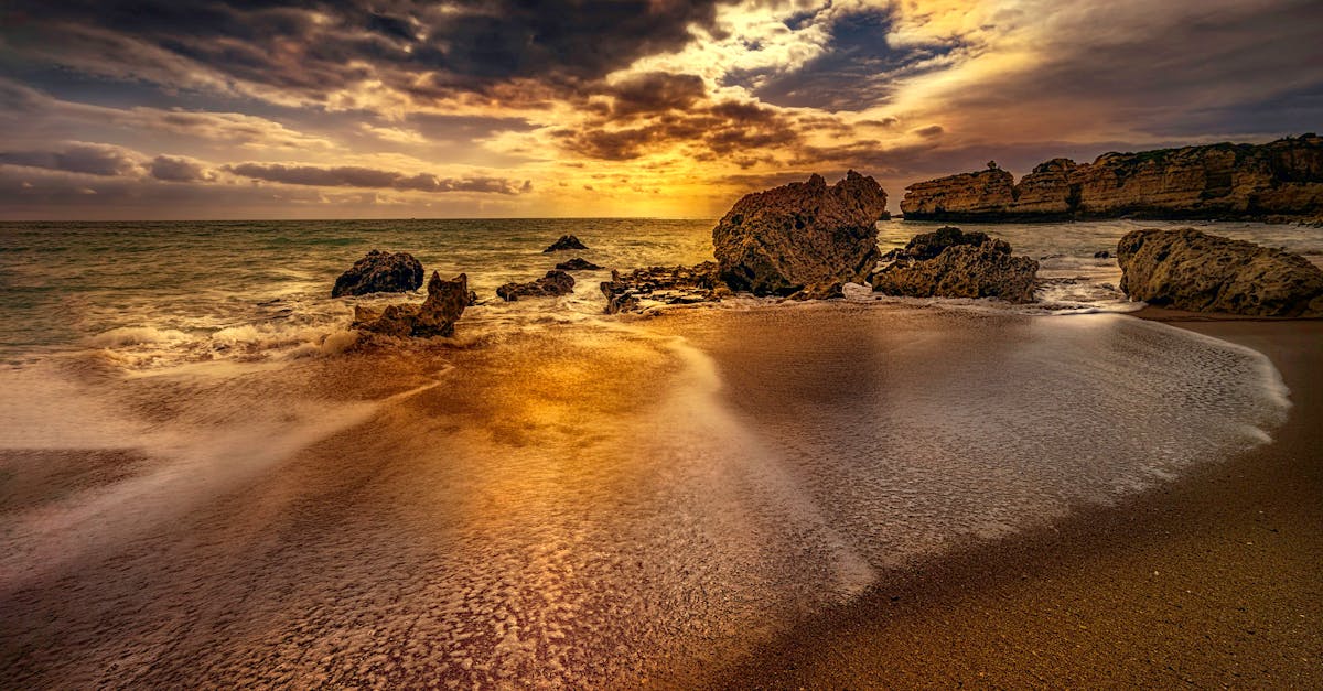 Food Truck Excellence: Overall Ratings for Street Food on the Gold Coast