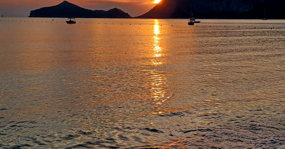 Gold Coast's Top Ramen Shops for Authentic Japanese Noodles