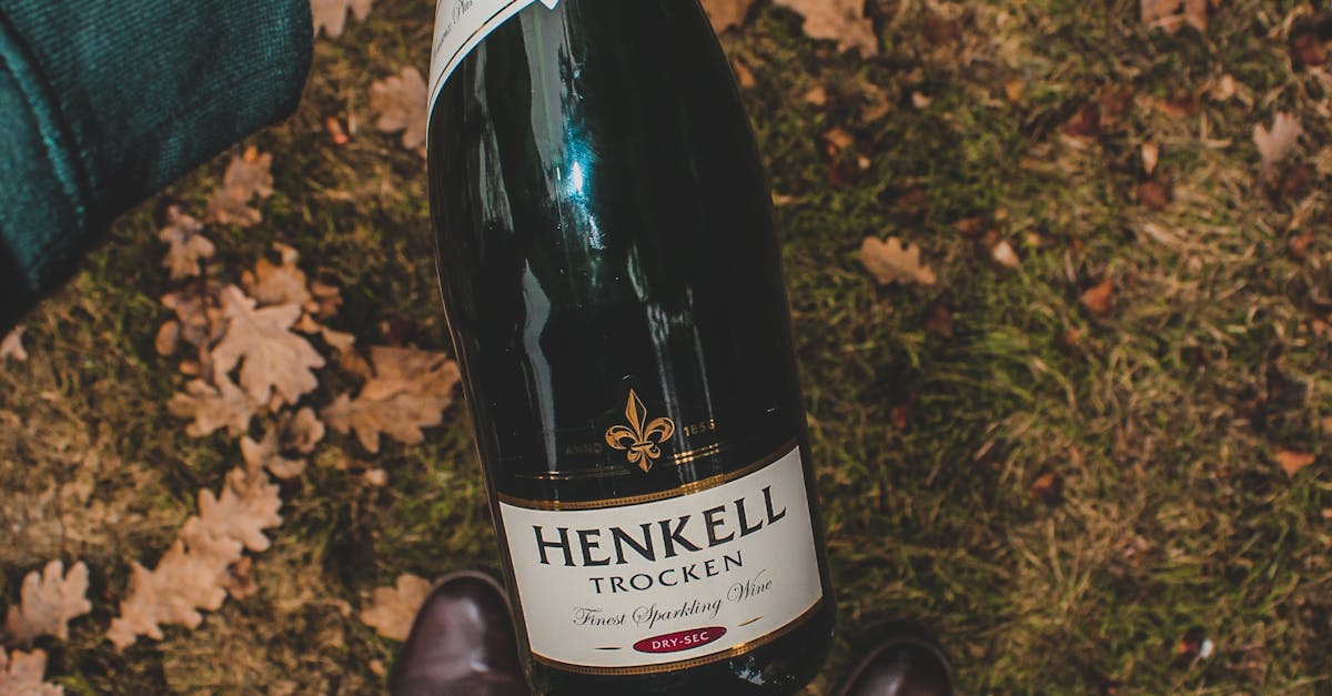 Hidden Gems: Malaysian Cuisine on the Gold Coast