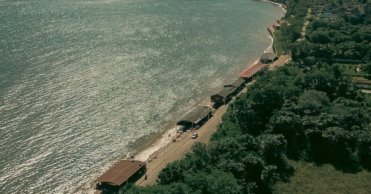 Modern Australian Cuisine Ratings: What Diners Are Saying