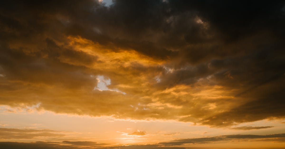 Seasonal Flavours: What Gold Coast Food Trucks Offer Year-Round