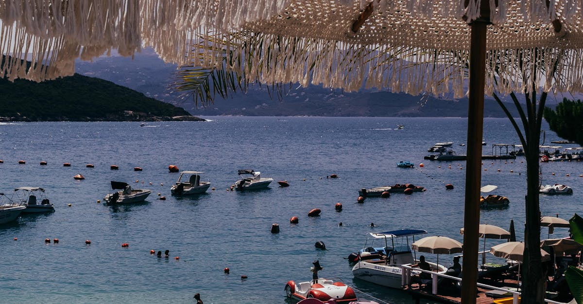 Seasonal Vegetarian Menus: Where to Find Them on the Gold Coast