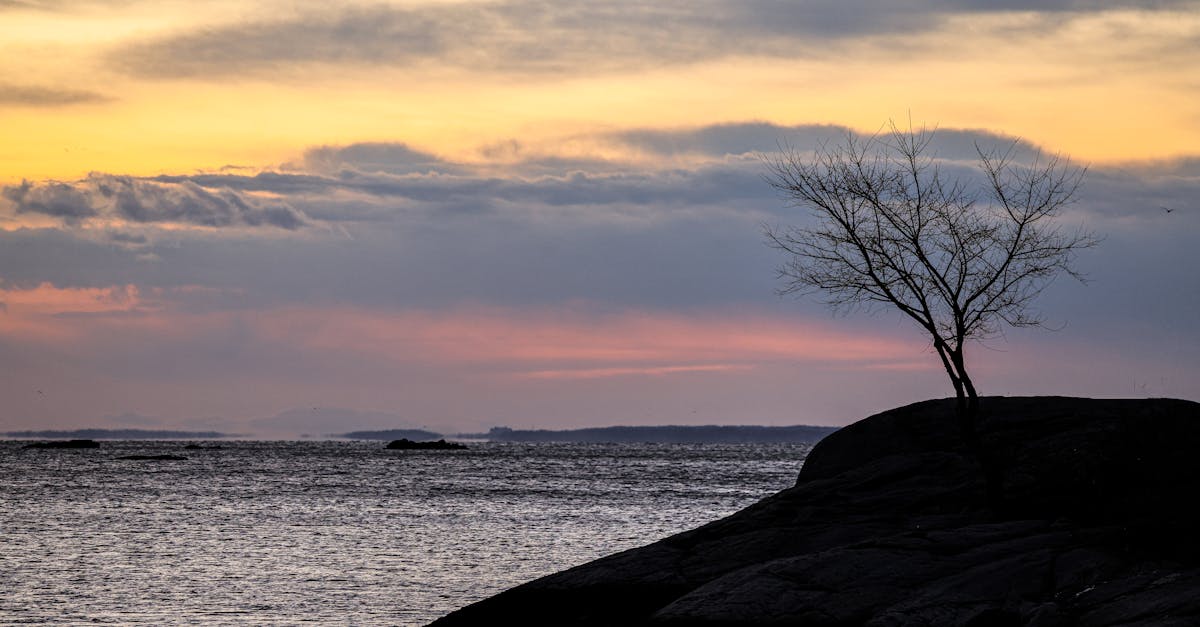 The Rise of Vegetarian Cuisine in Gold Coast’s Dining Scene