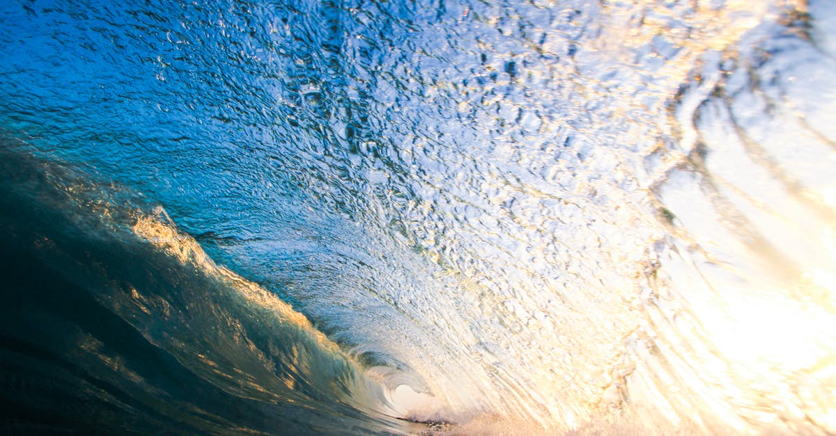 Top Wine Pairings to Elevate Your Fine Dining Experience