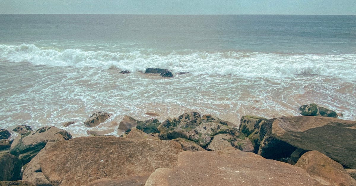 Value for Money: Gold Coast Dining Experiences Reviewed